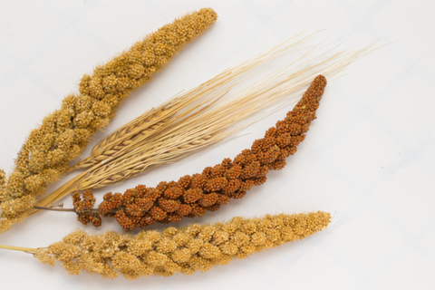 Healthy Millet Products