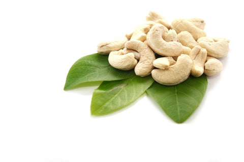 Premium Quality Jumbo Cashew Nuts